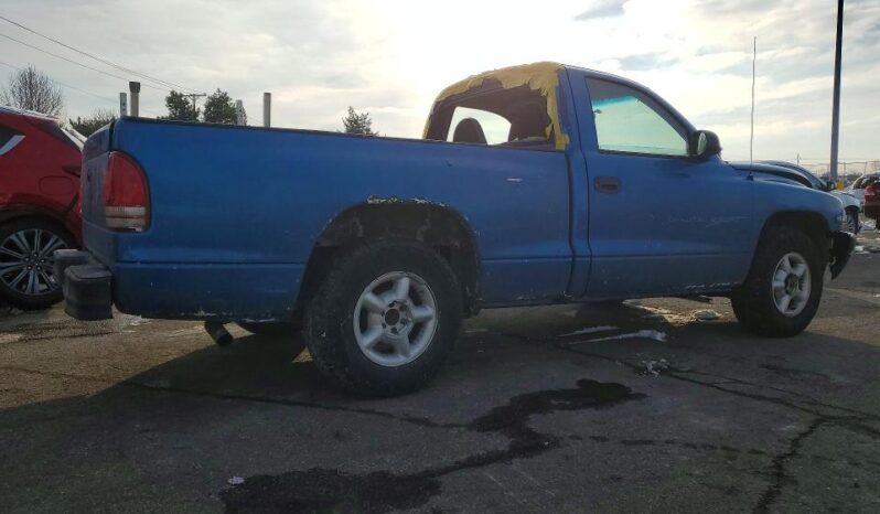 
								1999 Dodge Dakota full									