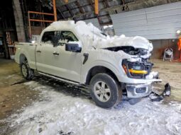 
										2025 Ford F150 full									