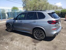
										2025 BMW X5 full									