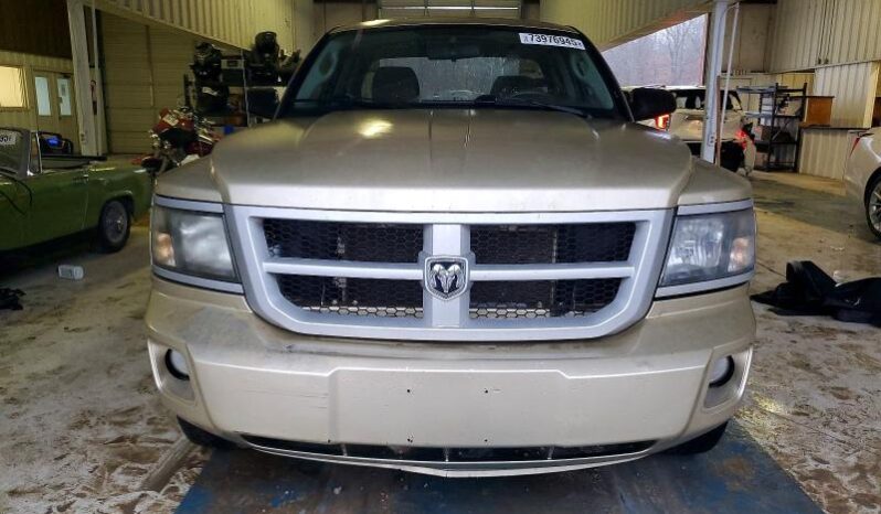 
								2011 Dodge Dakota full									