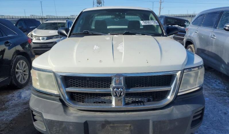 
								2008 Dodge Dakota full									