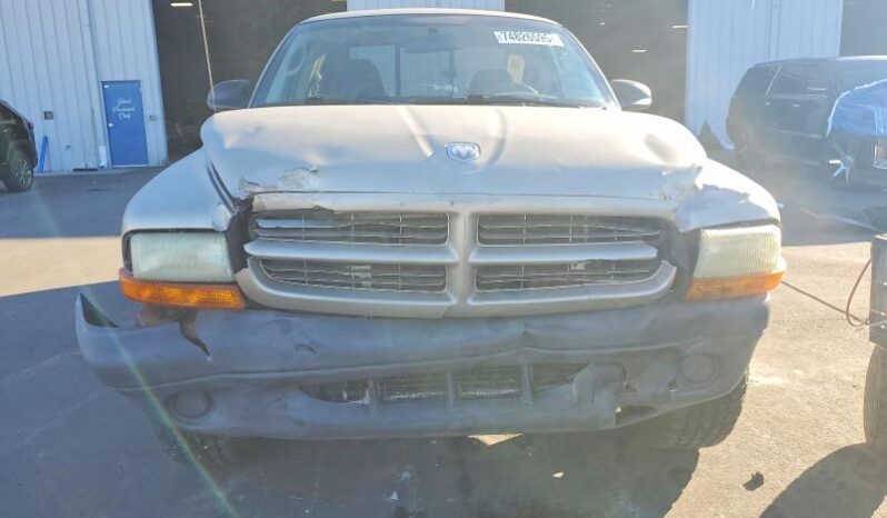 
								2003 Dodge Dakota full									