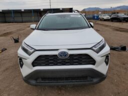 
										2024 Toyota Rav4 full									