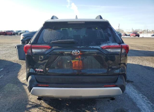 
								2019 Toyota Rav4 full									