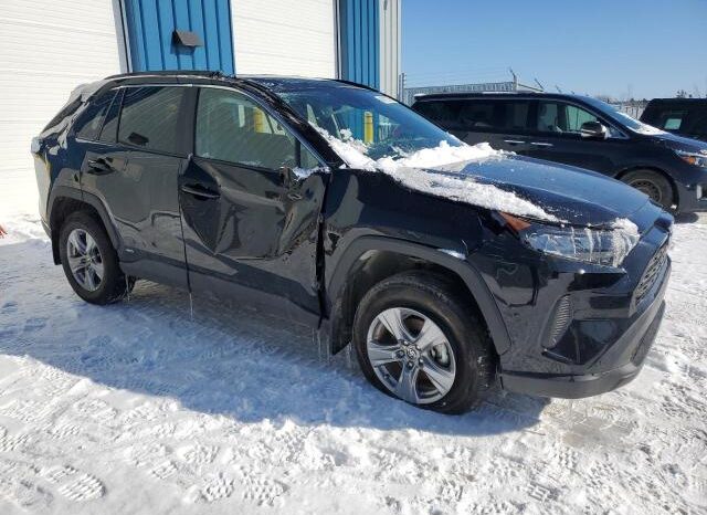
								2024 Toyota Rav4 full									