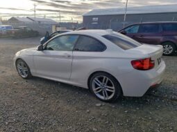 
										2016 BMW 2 series full									
