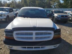 
										2004 Dodge Dakota full									