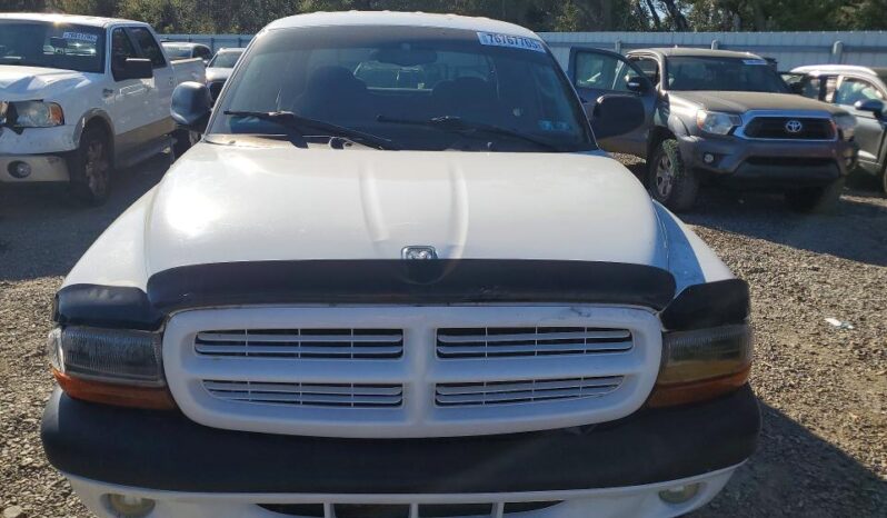 
								2004 Dodge Dakota full									