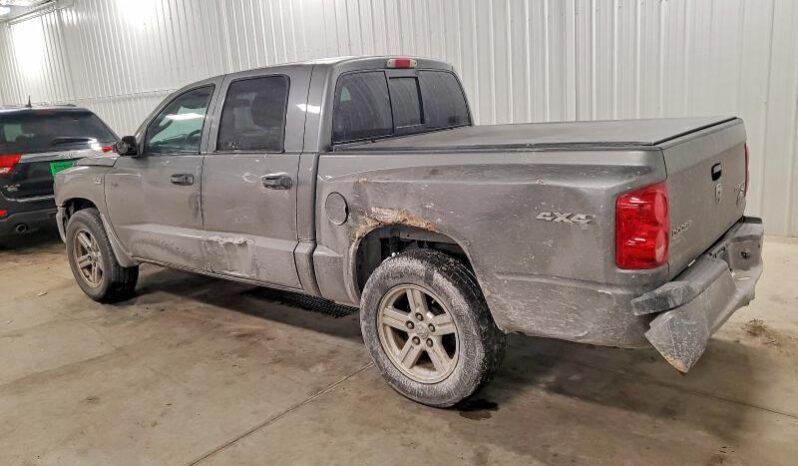 
								2010 Dodge Dakota full									