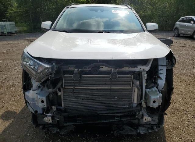 
								2019 Toyota Rav4 full									