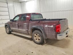 
										2005 Dodge Dakota full									