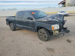 
										2006 Dodge Dakota full									