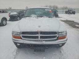 
										1997 Dodge Dakota full									