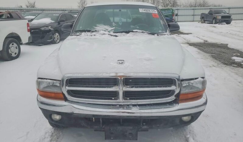 
								1997 Dodge Dakota full									