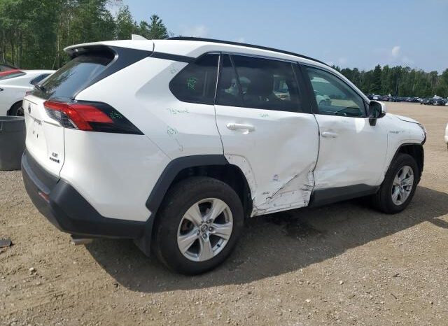
								2019 Toyota Rav4 full									
