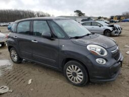 
										2014 Fiat 500 full									