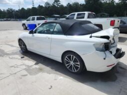 
										2019 BMW 2 series full									