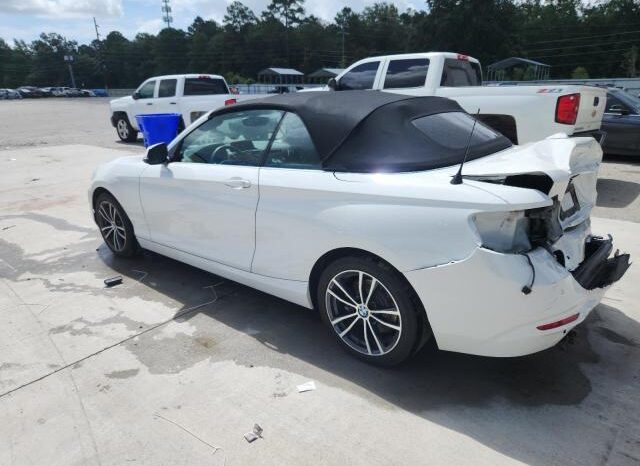 
								2019 BMW 2 series full									