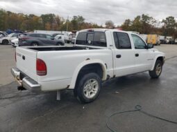 
										2001 Dodge Dakota full									
