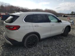 
										2019 BMW X5 full									