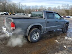 
										2002 Dodge Dakota full									