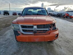 
										2010 Dodge Dakota full									