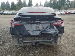 
										2019 Tesla Model x full									