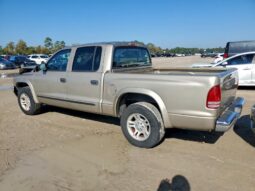 
										2004 Dodge Dakota full									