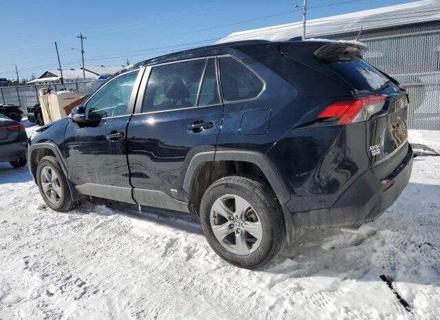 
								2024 Toyota Rav4 full									