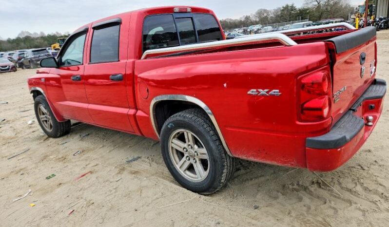 
								2010 Dodge Dakota full									