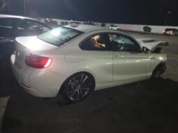 
										2015 BMW 2 series full									