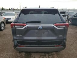 
										2019 Toyota Rav4 full									
