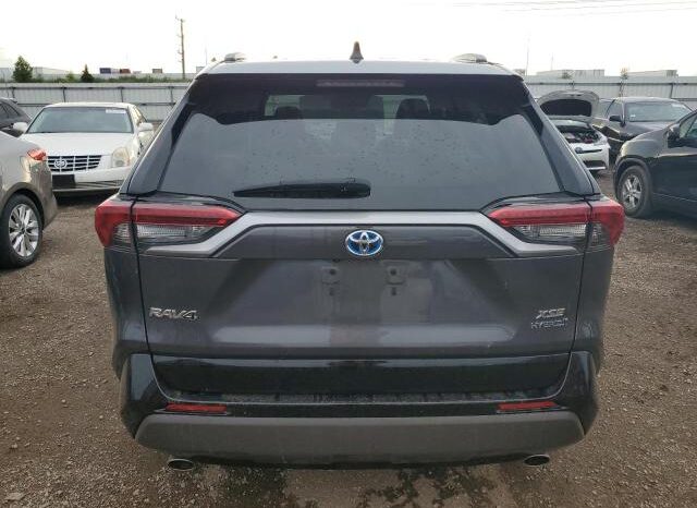 
								2019 Toyota Rav4 full									