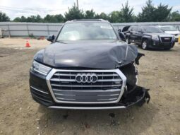 
										2019 Audi Q5 full									
