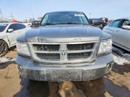 
										2008 Dodge Dakota full									