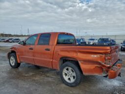 
										2010 Dodge Dakota full									