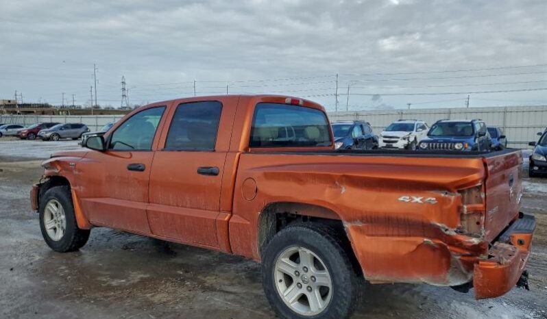 
								2010 Dodge Dakota full									