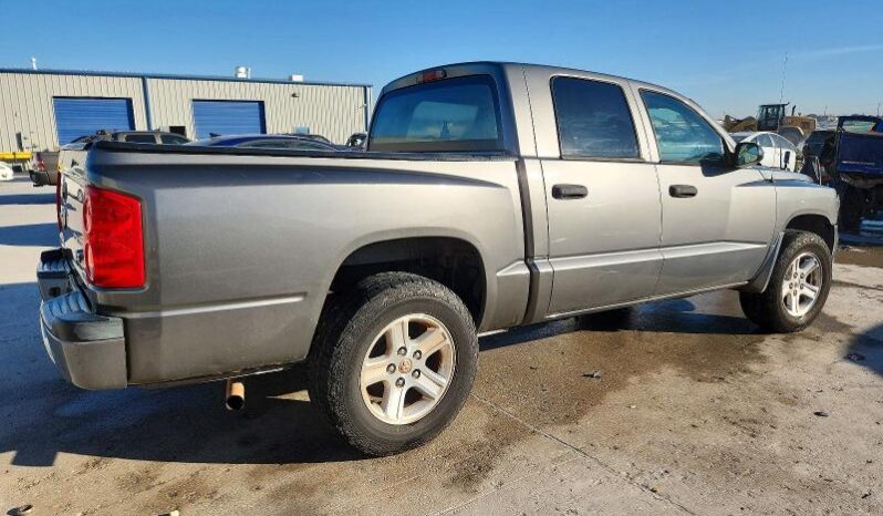 
								2011 Dodge Dakota full									