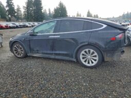 
										2019 Tesla Model x full									