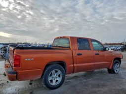 
										2010 Dodge Dakota full									