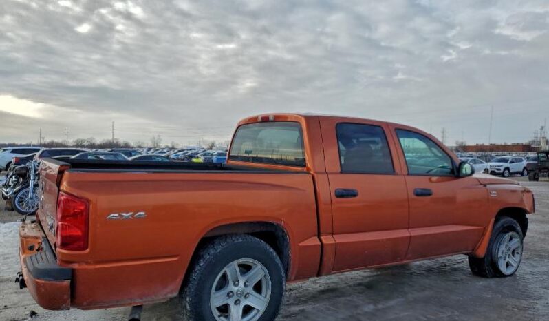 
								2010 Dodge Dakota full									