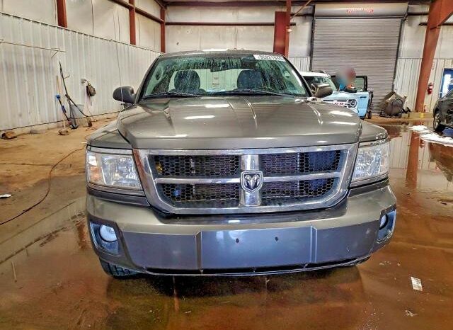 
								2011 Dodge Dakota full									