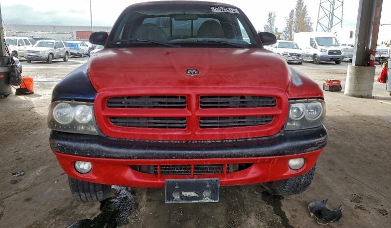 
								1997 Dodge Dakota full									