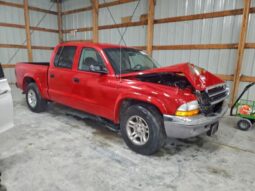 
										2004 Dodge Dakota full									