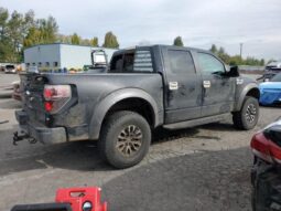 
										2013 Ford F150 full									