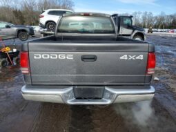 
										2002 Dodge Dakota full									