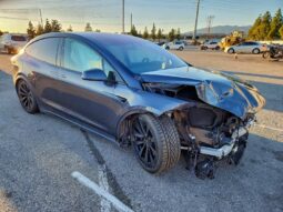 
										2022 Tesla Model x full									
