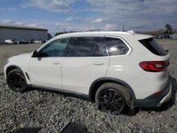 
										2019 BMW X5 full									