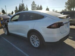 
										2020 Tesla Model x full									