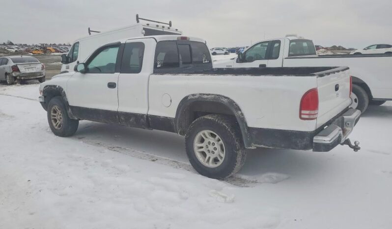 
								1997 Dodge Dakota full									